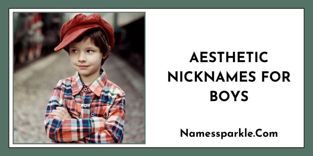 Aesthetic Nicknames for Boys