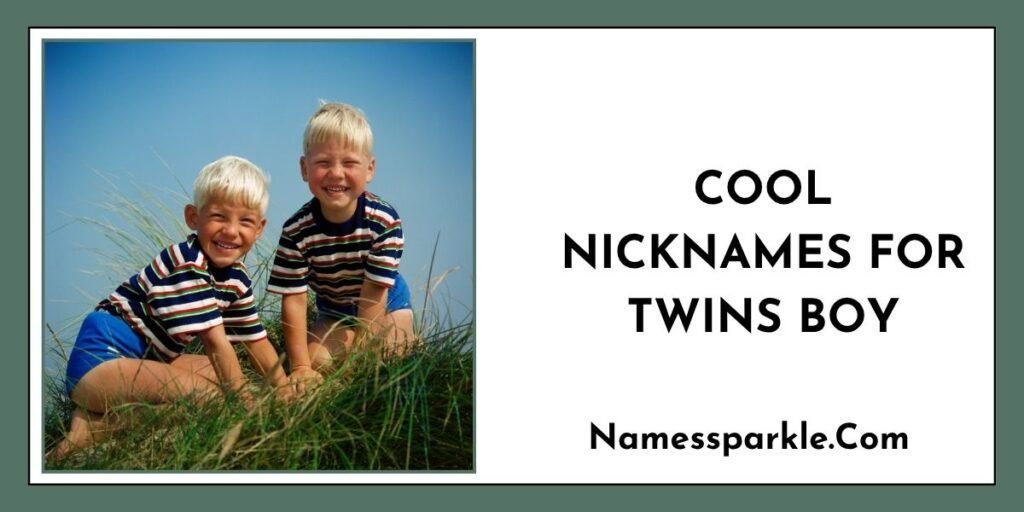 Cool Nicknames for Twins Boy