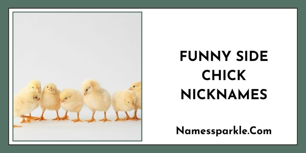 Funny Side Chick Nicknames
