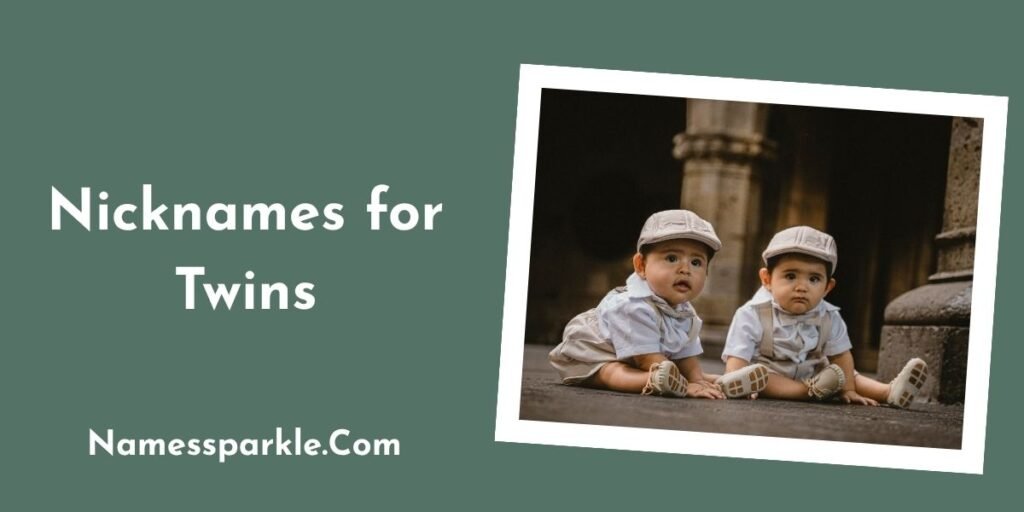 Nicknames for Twins