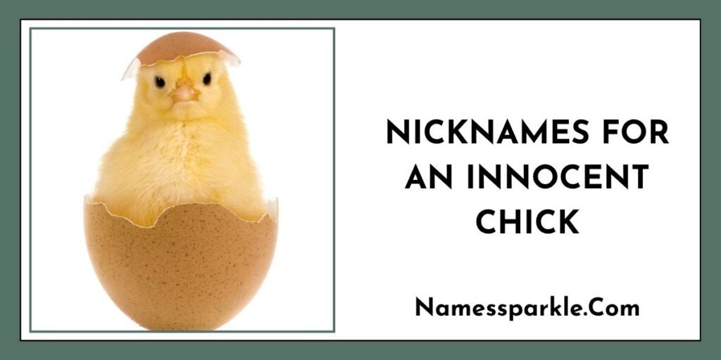 Nicknames for an Innocent Chick