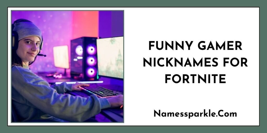Funny Gamer Nicknames for Fortnite